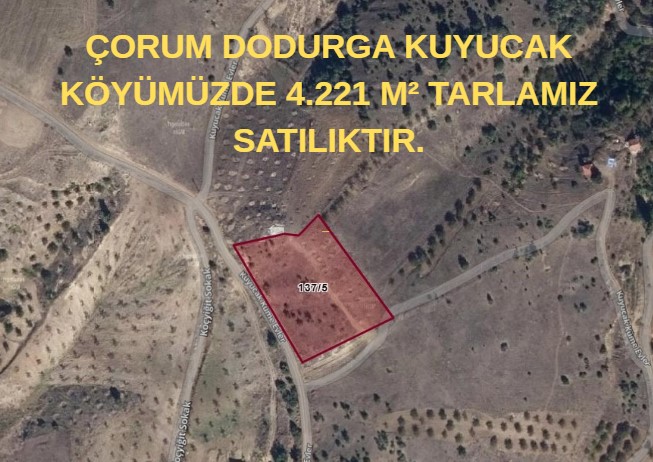 İlan Fotoğrafı